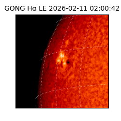 gong - 2026-02-11T02:00:42