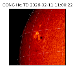gong - 2026-02-11T11:00:22