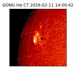 gong - 2026-02-11T14:00:42