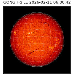 gong - 2026-02-11T06:00:42