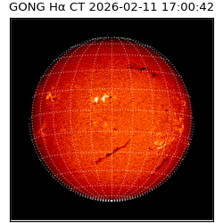 gong - 2026-02-11T17:00:42