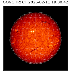gong - 2026-02-11T19:00:42
