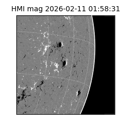shmi - 2026-02-11T01:58:31.500000