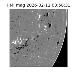 shmi - 2026-02-11T03:58:31.600000