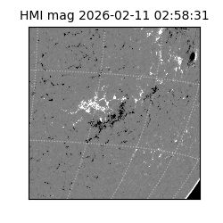 shmi - 2026-02-11T02:58:31.600000