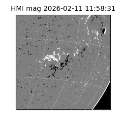 shmi - 2026-02-11T11:58:31.600000