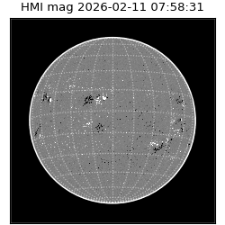 shmi - 2026-02-11T07:58:31.600000