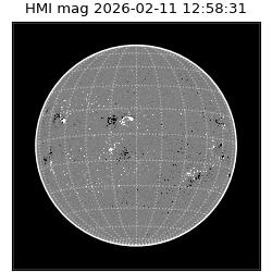 shmi - 2026-02-11T12:58:31.500000