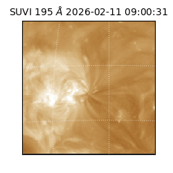 suvi - 2026-02-11T09:00:31.263000