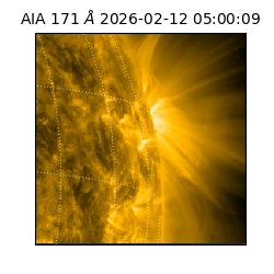 saia - 2026-02-12T05:00:09.343000