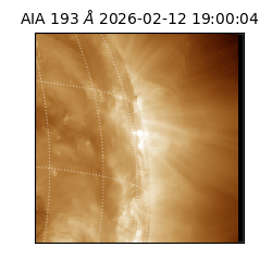 saia - 2026-02-12T19:00:04.843000