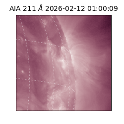 saia - 2026-02-12T01:00:09.632000