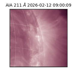 saia - 2026-02-12T09:00:09.626000