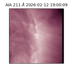 saia - 2026-02-12T19:00:09.626000