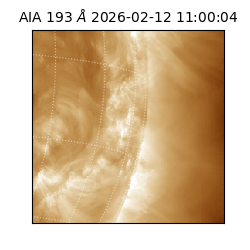 saia - 2026-02-12T11:00:04.843000