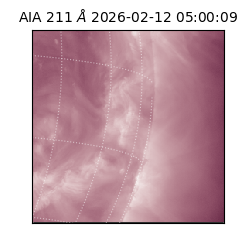 saia - 2026-02-12T05:00:09.618000