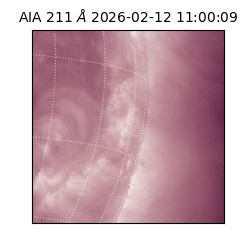 saia - 2026-02-12T11:00:09.626000