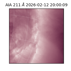 saia - 2026-02-12T20:00:09.618000