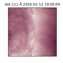saia - 2026-02-12T19:00:09.626000