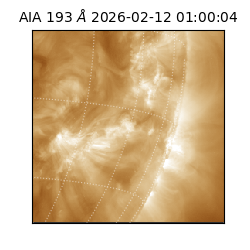 saia - 2026-02-12T01:00:04.846000