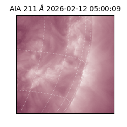 saia - 2026-02-12T05:00:09.618000