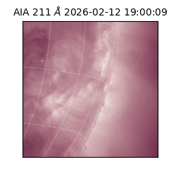 saia - 2026-02-12T19:00:09.626000