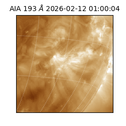 saia - 2026-02-12T01:00:04.846000