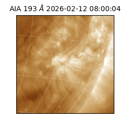 saia - 2026-02-12T08:00:04.835000