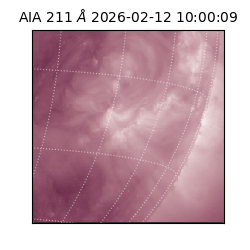 saia - 2026-02-12T10:00:09.626000