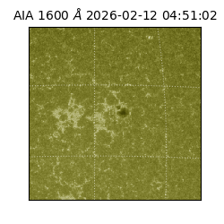 saia - 2026-02-12T04:51:02.133000