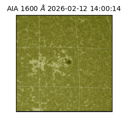 saia - 2026-02-12T14:00:14.125000