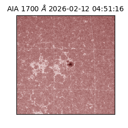 saia - 2026-02-12T04:51:16.720000
