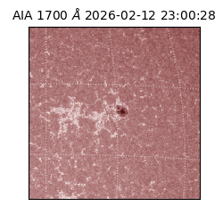 saia - 2026-02-12T23:00:28.709000