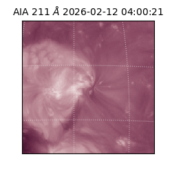 saia - 2026-02-12T04:00:21.618000