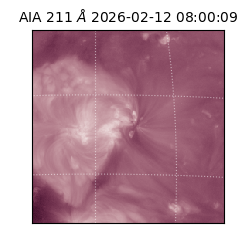 saia - 2026-02-12T08:00:09.619000