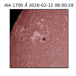 saia - 2026-02-12T08:00:28.720000