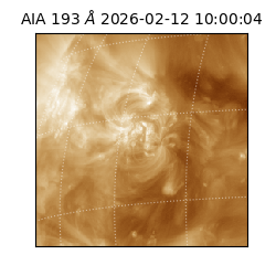 saia - 2026-02-12T10:00:04.843000