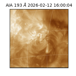 saia - 2026-02-12T16:00:04.843000