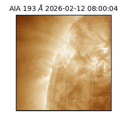 saia - 2026-02-12T08:00:04.835000