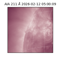 saia - 2026-02-12T05:00:09.618000