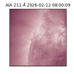 saia - 2026-02-12T08:00:09.619000