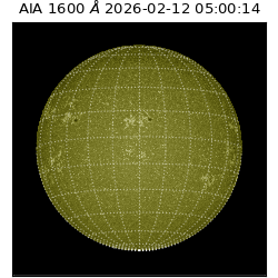 saia - 2026-02-12T05:00:14.122000