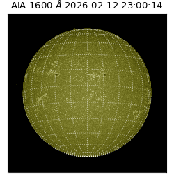 saia - 2026-02-12T23:00:14.131000