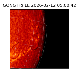 gong - 2026-02-12T05:00:42