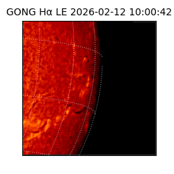 gong - 2026-02-12T10:00:42