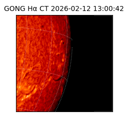 gong - 2026-02-12T13:00:42