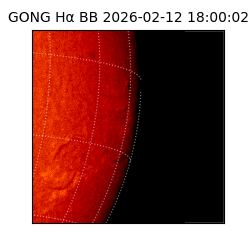 gong - 2026-02-12T18:00:02