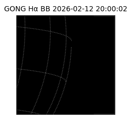 gong - 2026-02-12T20:00:02