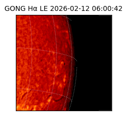 gong - 2026-02-12T06:00:42