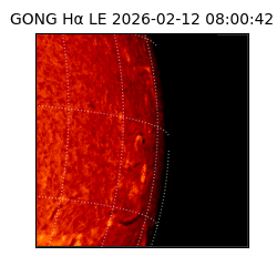gong - 2026-02-12T08:00:42